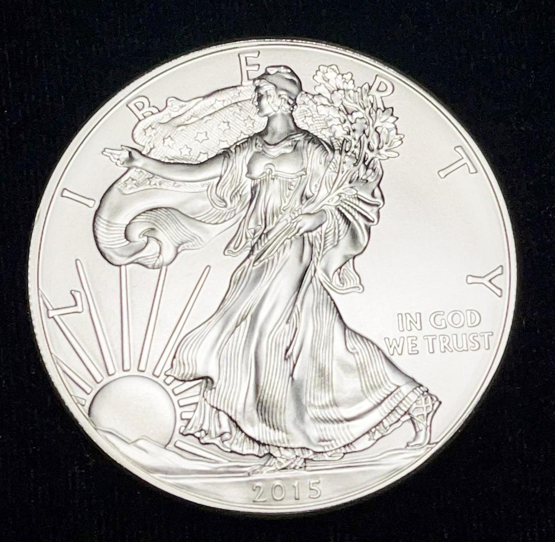 2015 American Silver Eagle MS69 (1 of 3)