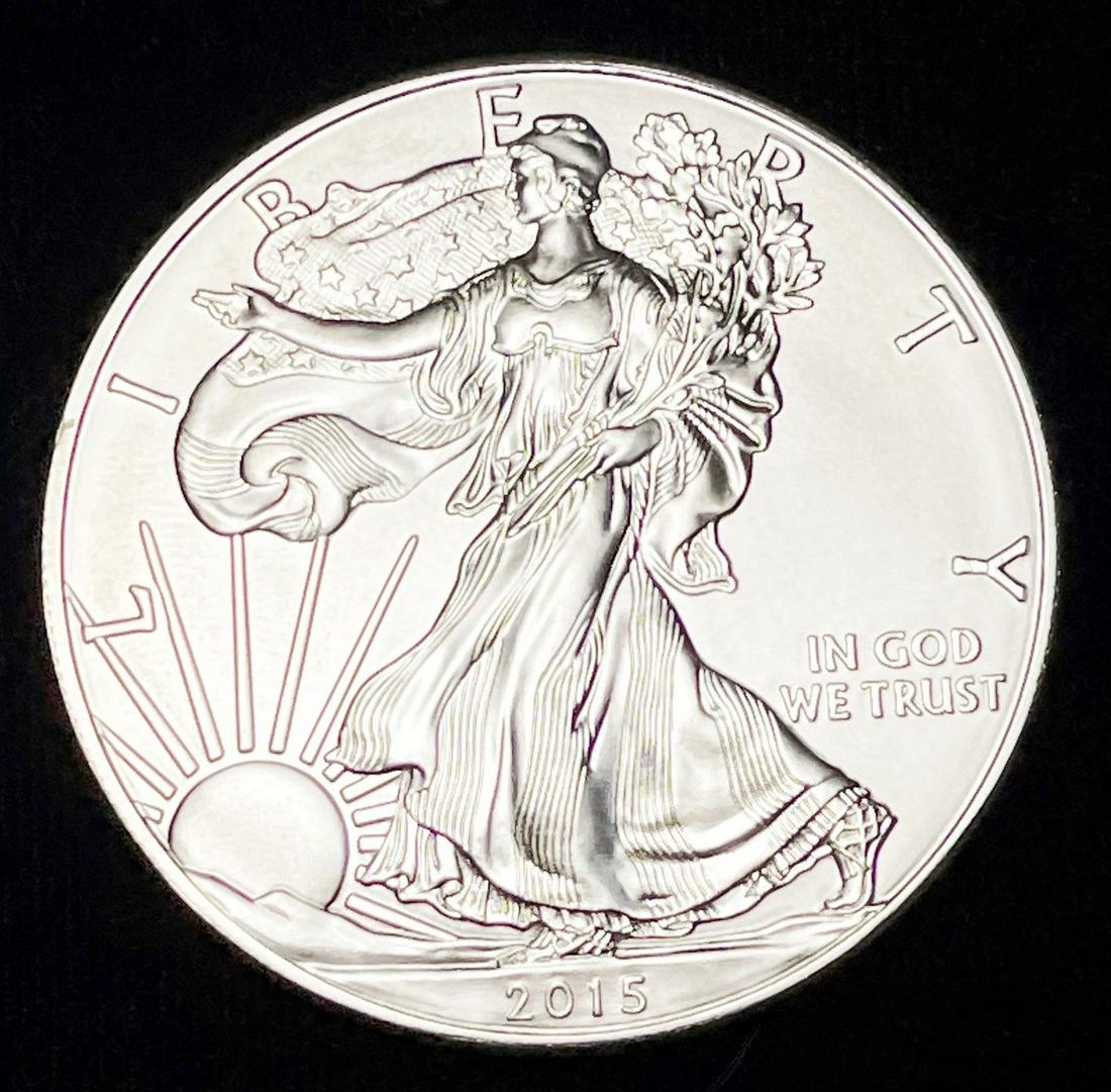 2015 American Silver Eagle MS69 (1 of 3)