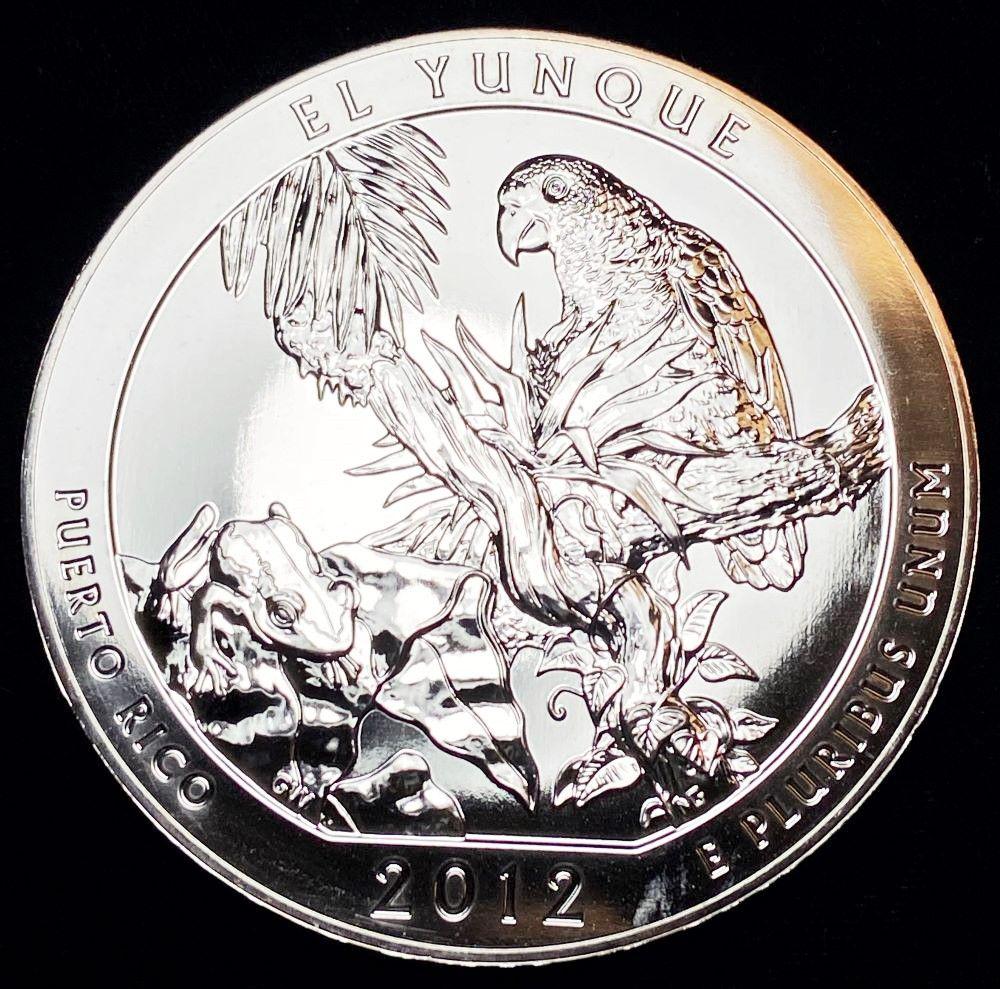 2012 El Yunque ATB Silver 5 oz (1 of 5)