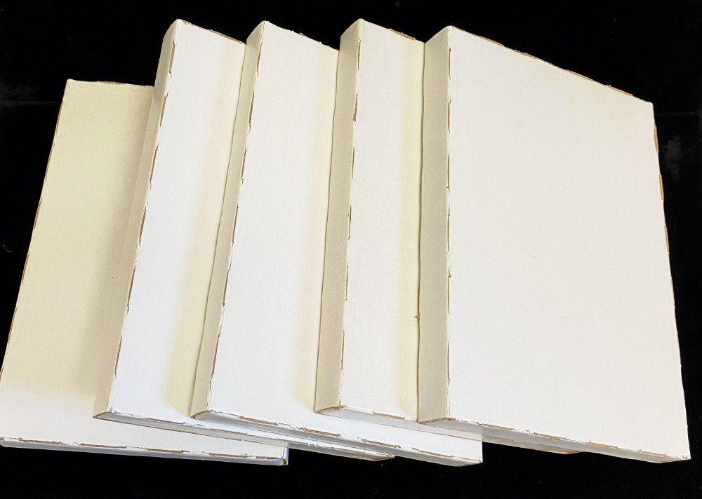 (5) Sealed GSA Carson City Silver Dollar (1 of 4)