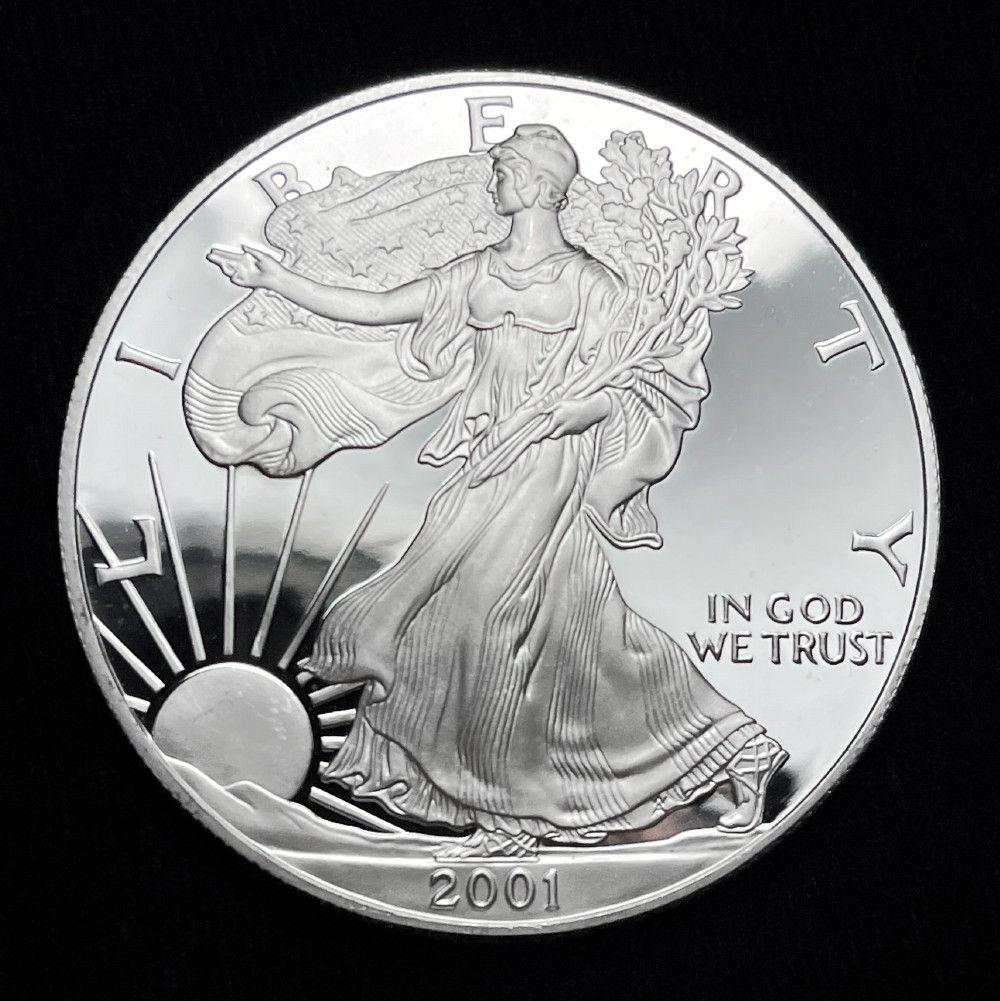 2001-W American Silver Eagle Proof 69 (1 of 3)