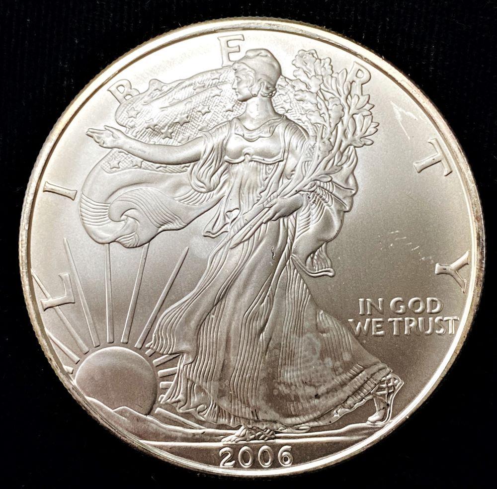 2006 American Silver Eagle: Winner shall receive the exact coin shown here. (AZ)