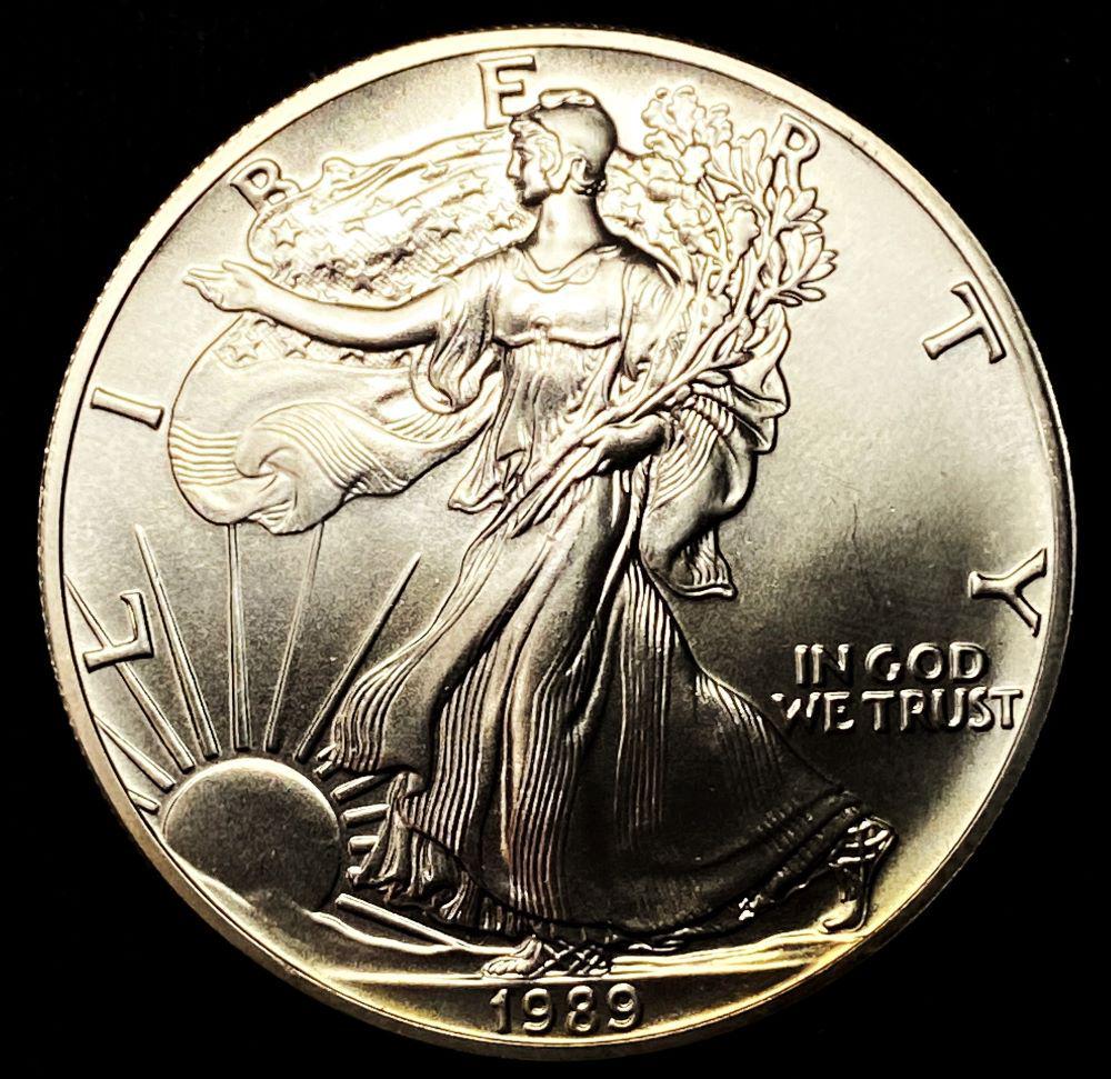 1989 American Silver Eagle (1 of 2)