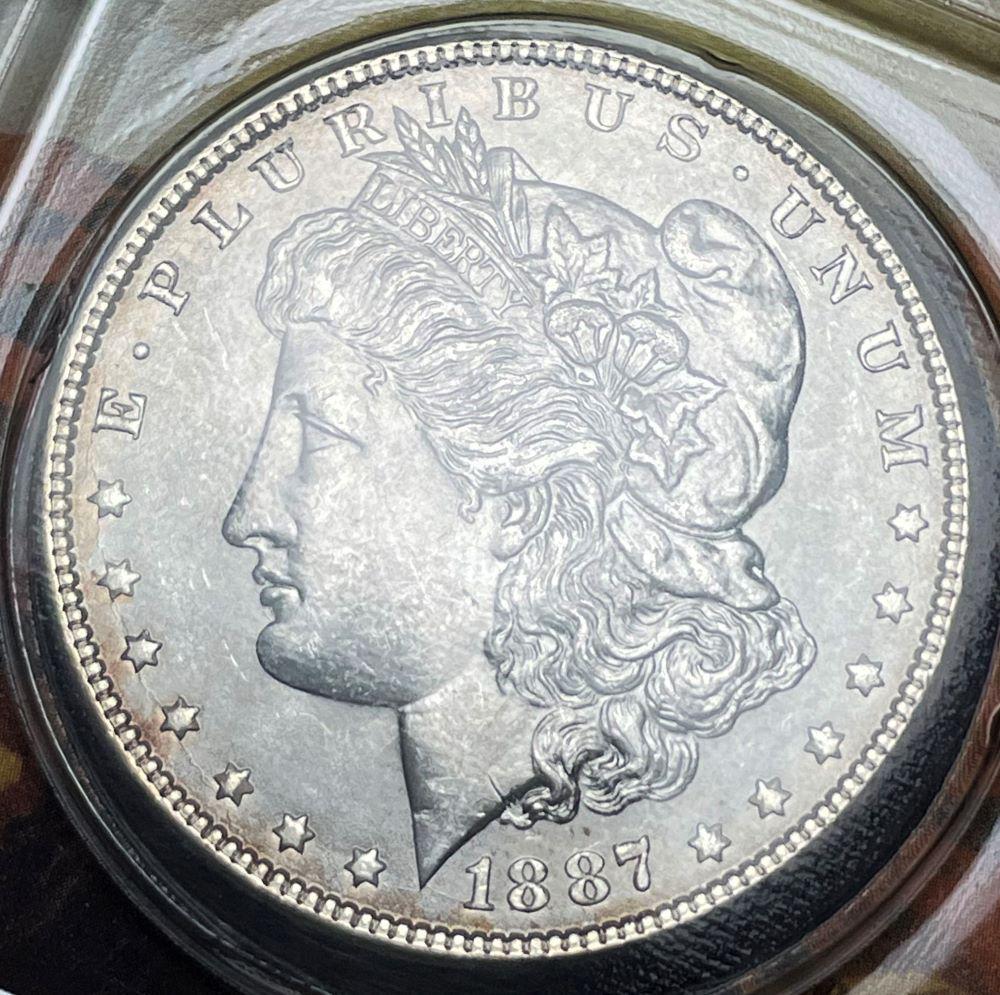 Littleton 1887 Morgan Silver Dollar Mint Condition (1 of 3)