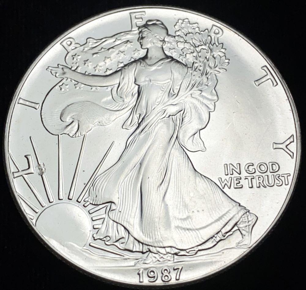 1987 American Silver Eagle MS69 (1 of 2)