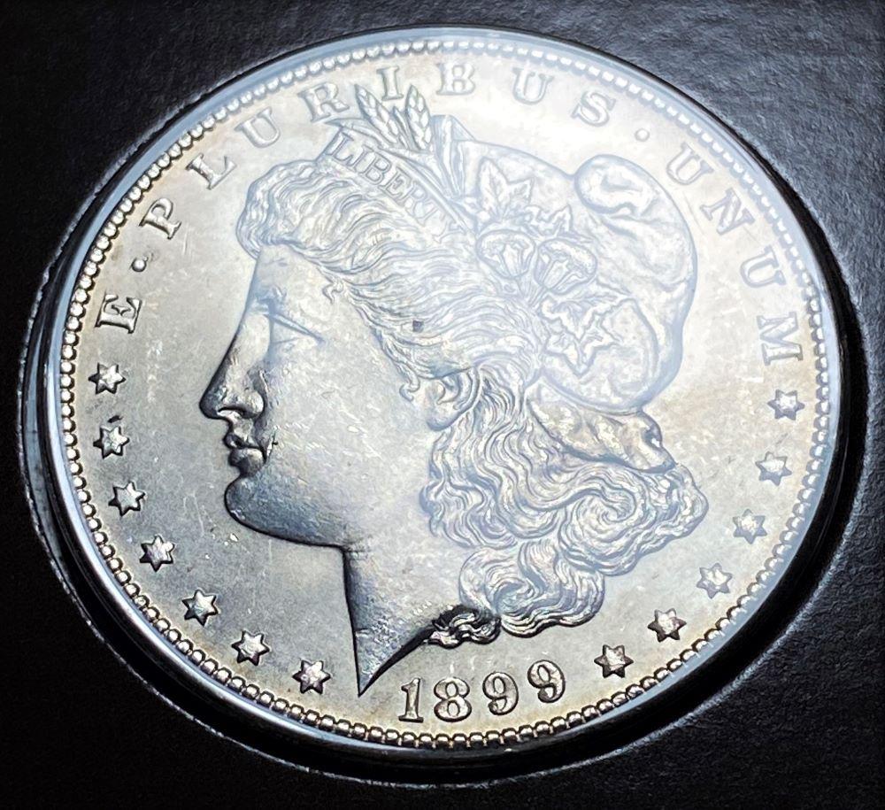 1899-O Mint Cond. Morgan Silver Dollar Western Wildlife (1 of 5)