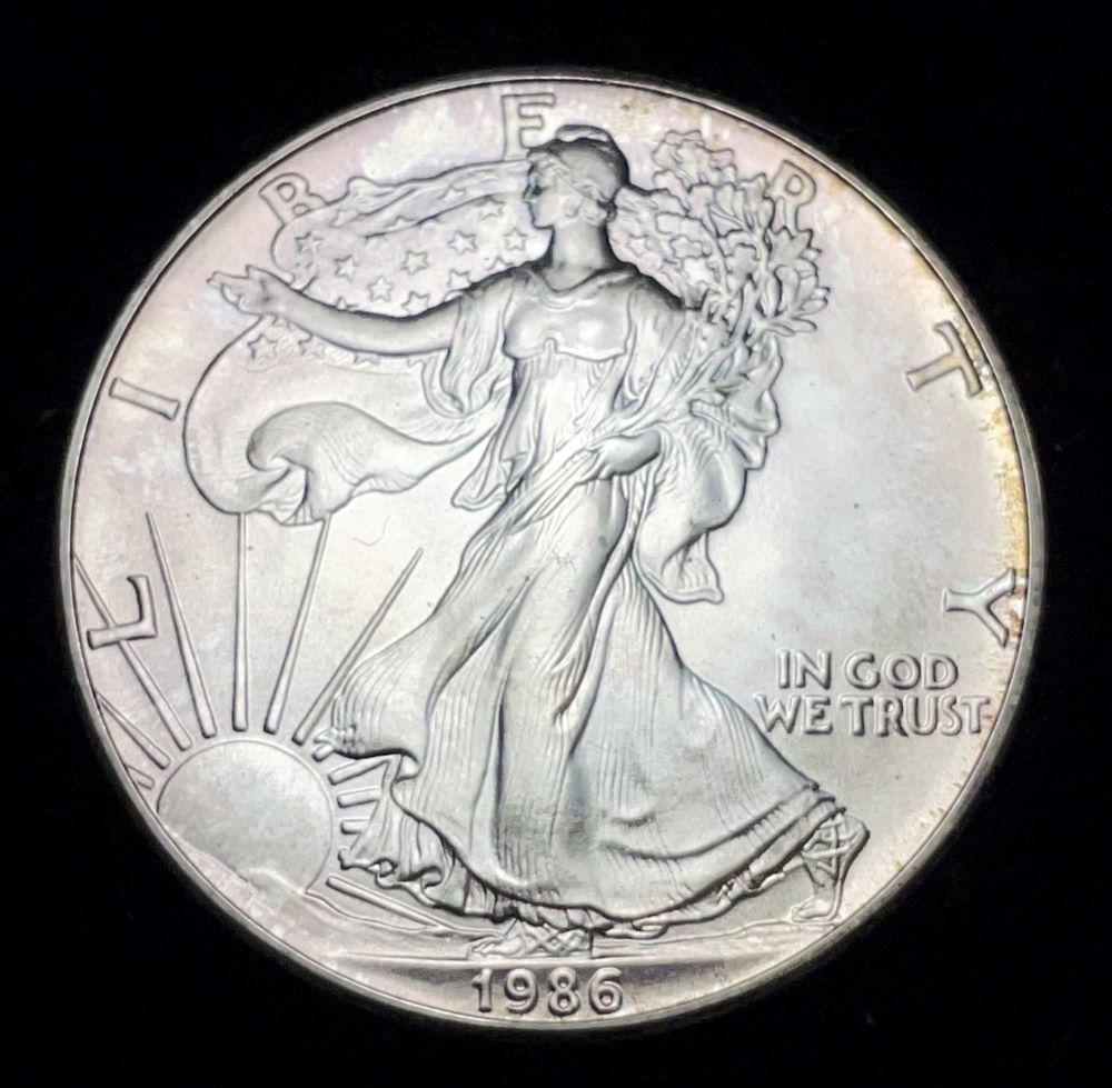 1986 American Silver Eagle: Winner shall receive the exact coin shown here. (JM/TVC=UU)