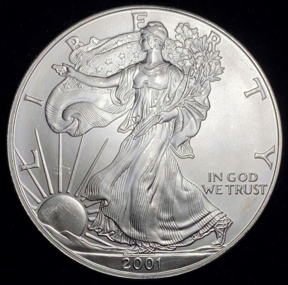 2001 American Silver Eagle: Winner shall receive the exact coin shown here. (AZ/B)