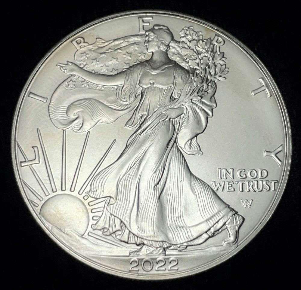 2022 American Silver Eagle (1 of 2)