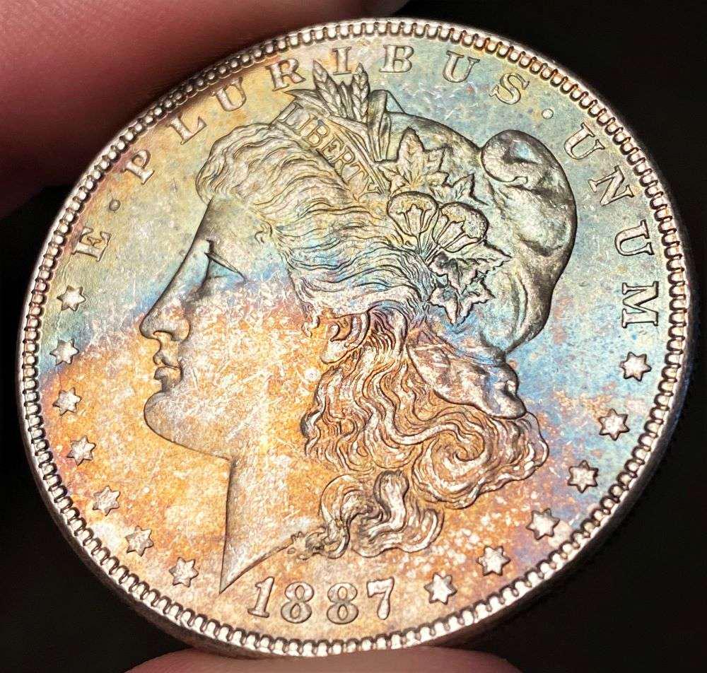 Exquisite Colorful Toning 1887 Morgan Silver Dollar MS64 (1 of 6)