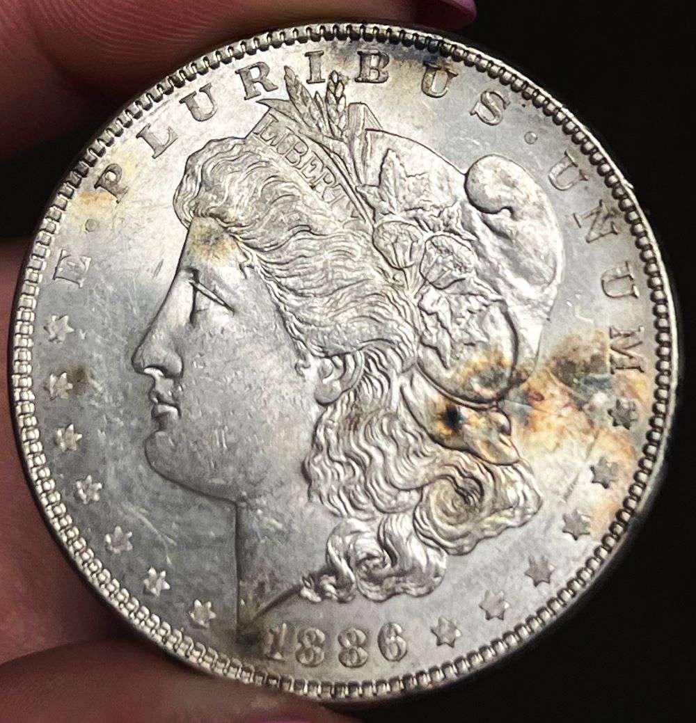 1886 Morgan Silver Dollar MS63 (1 of 4)