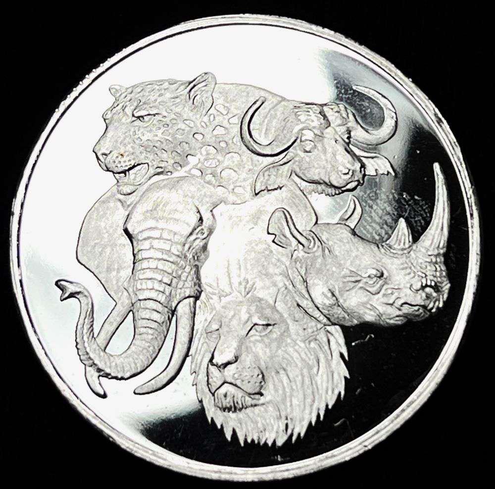 Big 5 Proof 1 ozt .999 Silver (1 of 2)