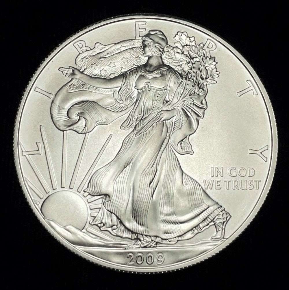2009 American Silver Eagle: Winner shall receive the exact coin shown here. (JM/B)