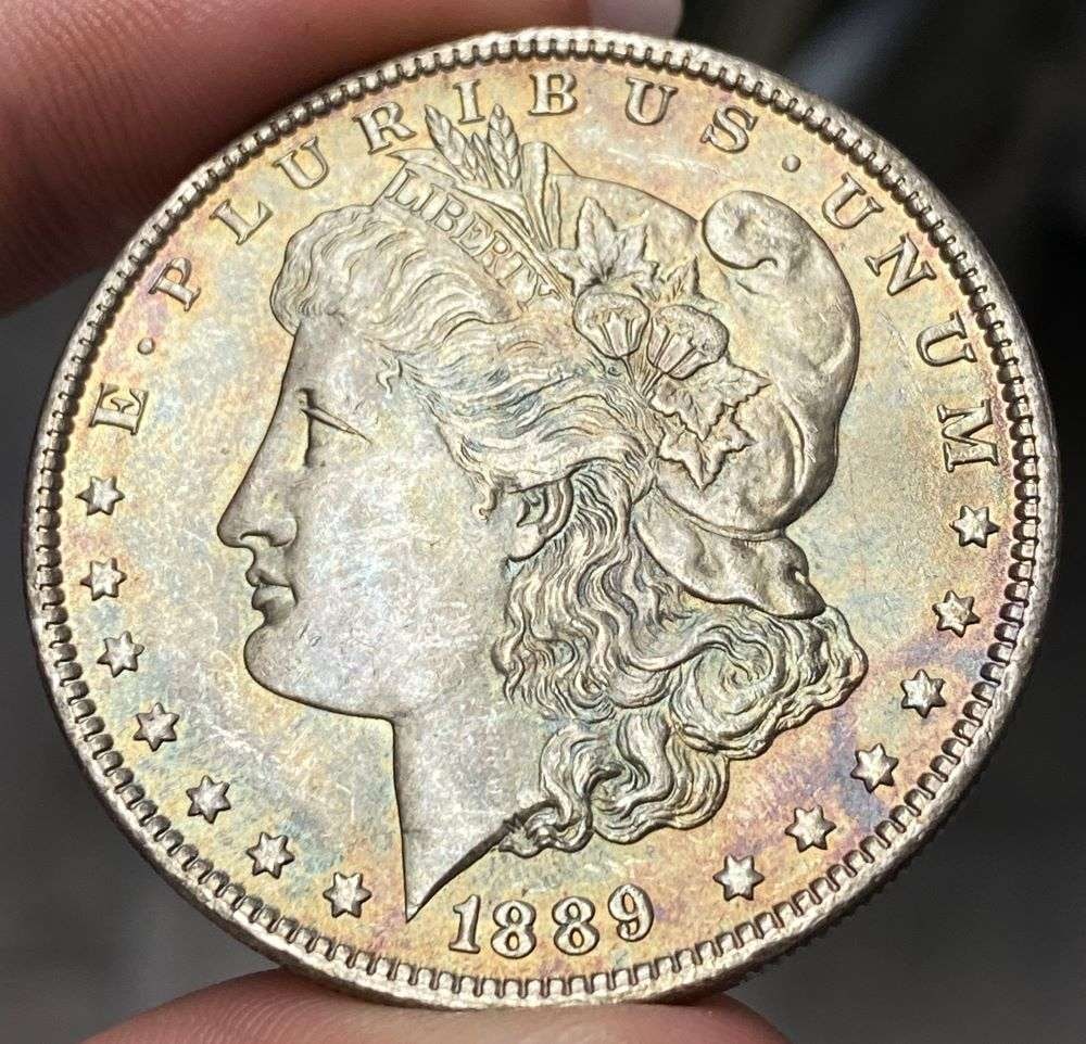 Toned 1889 Morgan Silver Dollar (1 of 2)