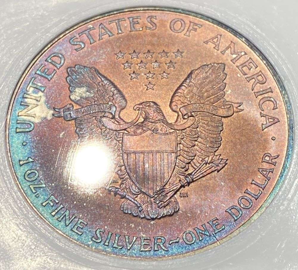Toned 1995 American Silver Eagle MS70 (1 of 5)
