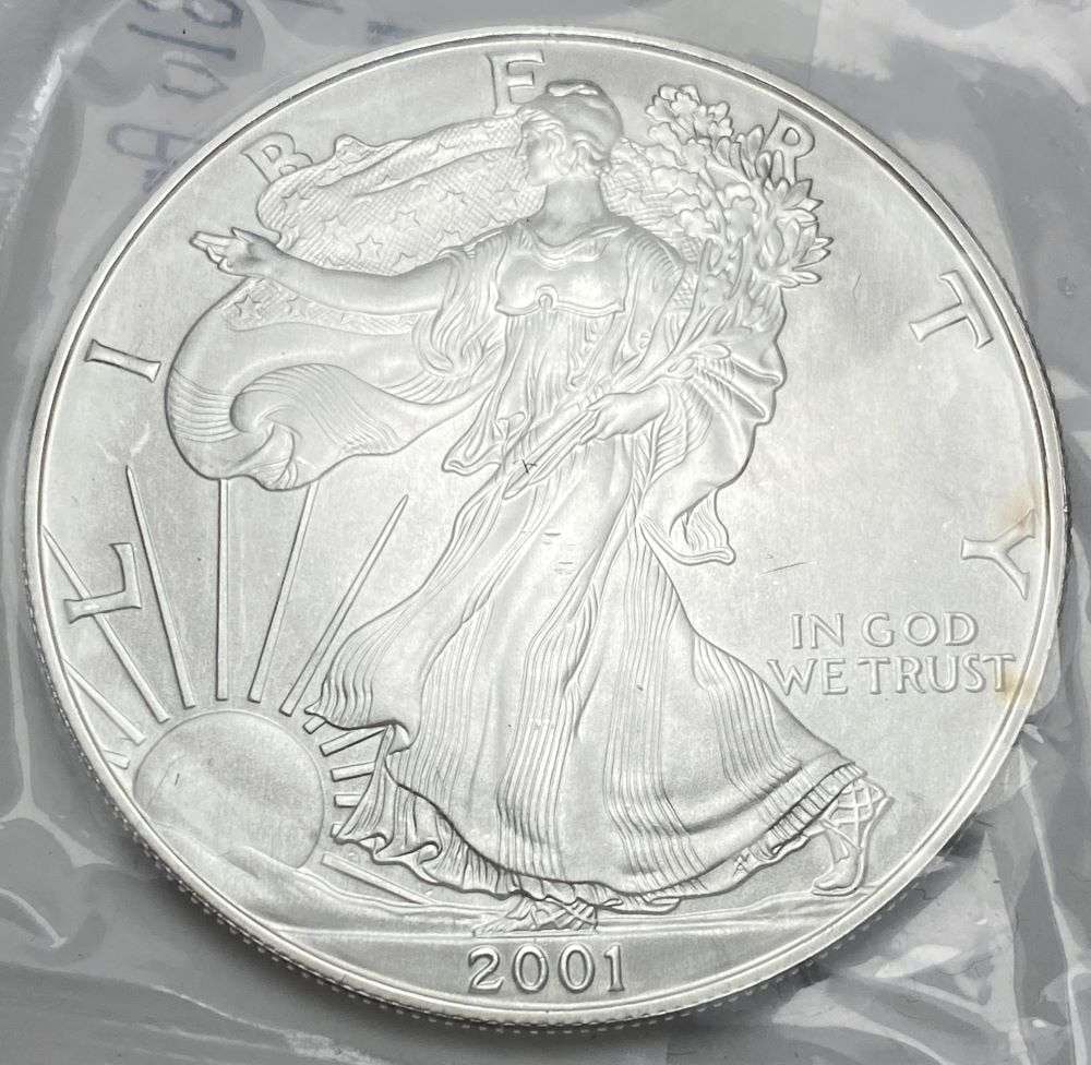 2001 American Silver Eagle: Winner shall receive the exact coin shown here. (RR/B)