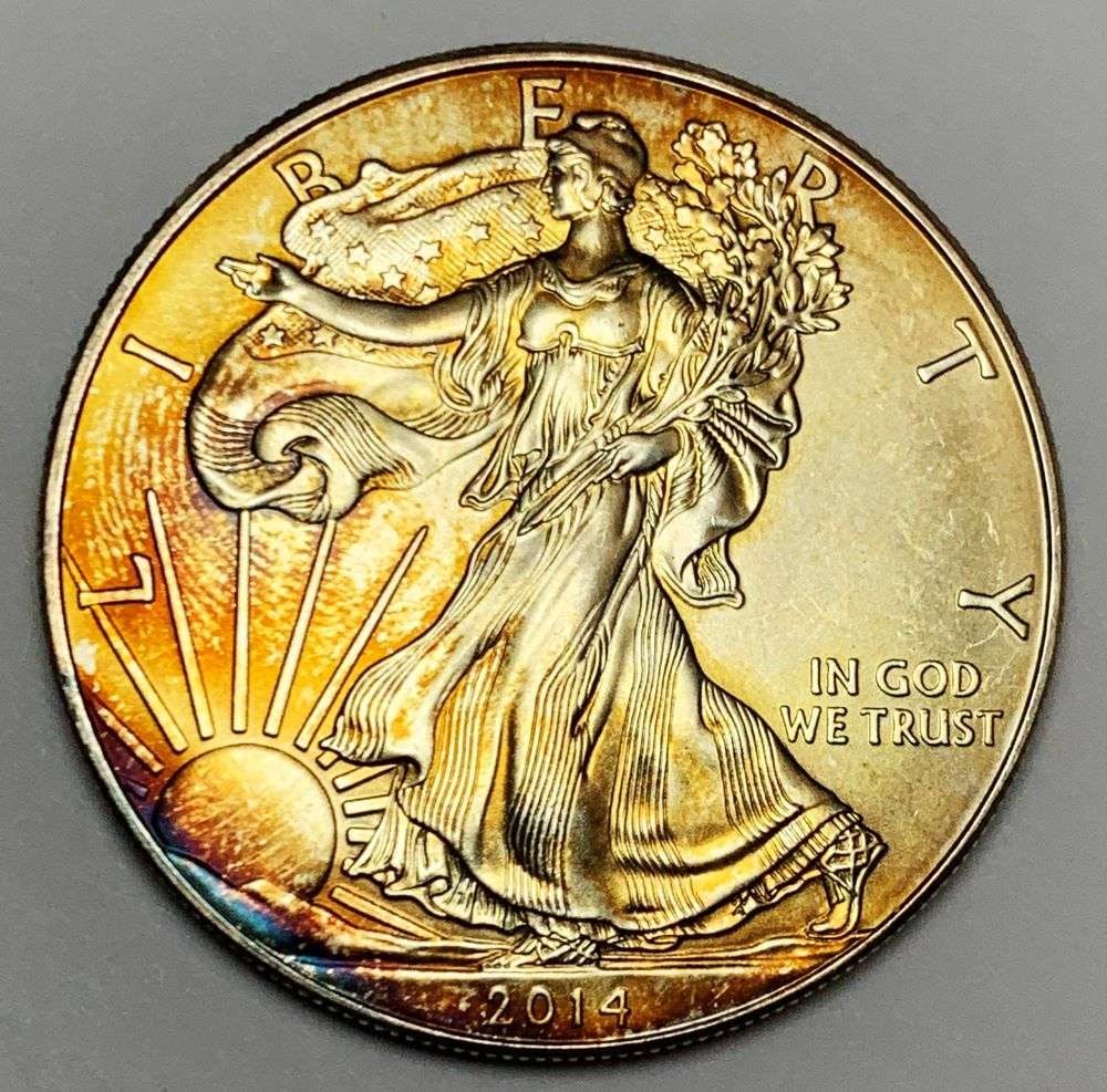 2014 American Silver Eagle (1 of 2)