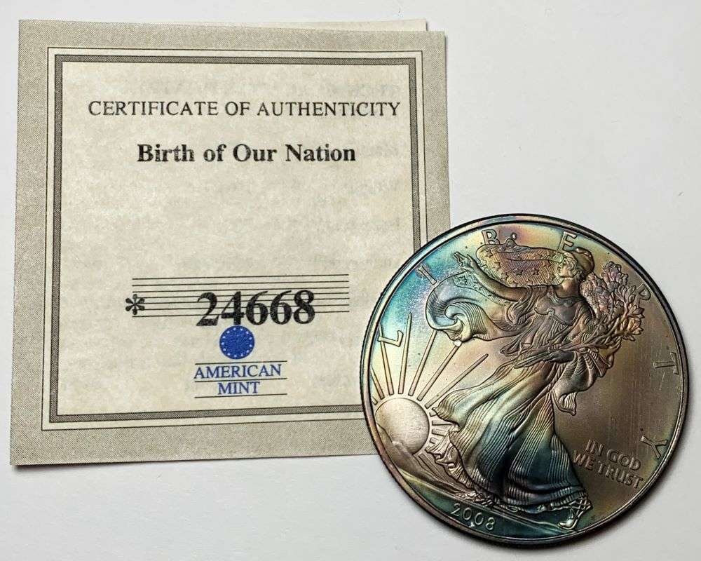 Toned 2008 American Silver Eagle (1 of 4)