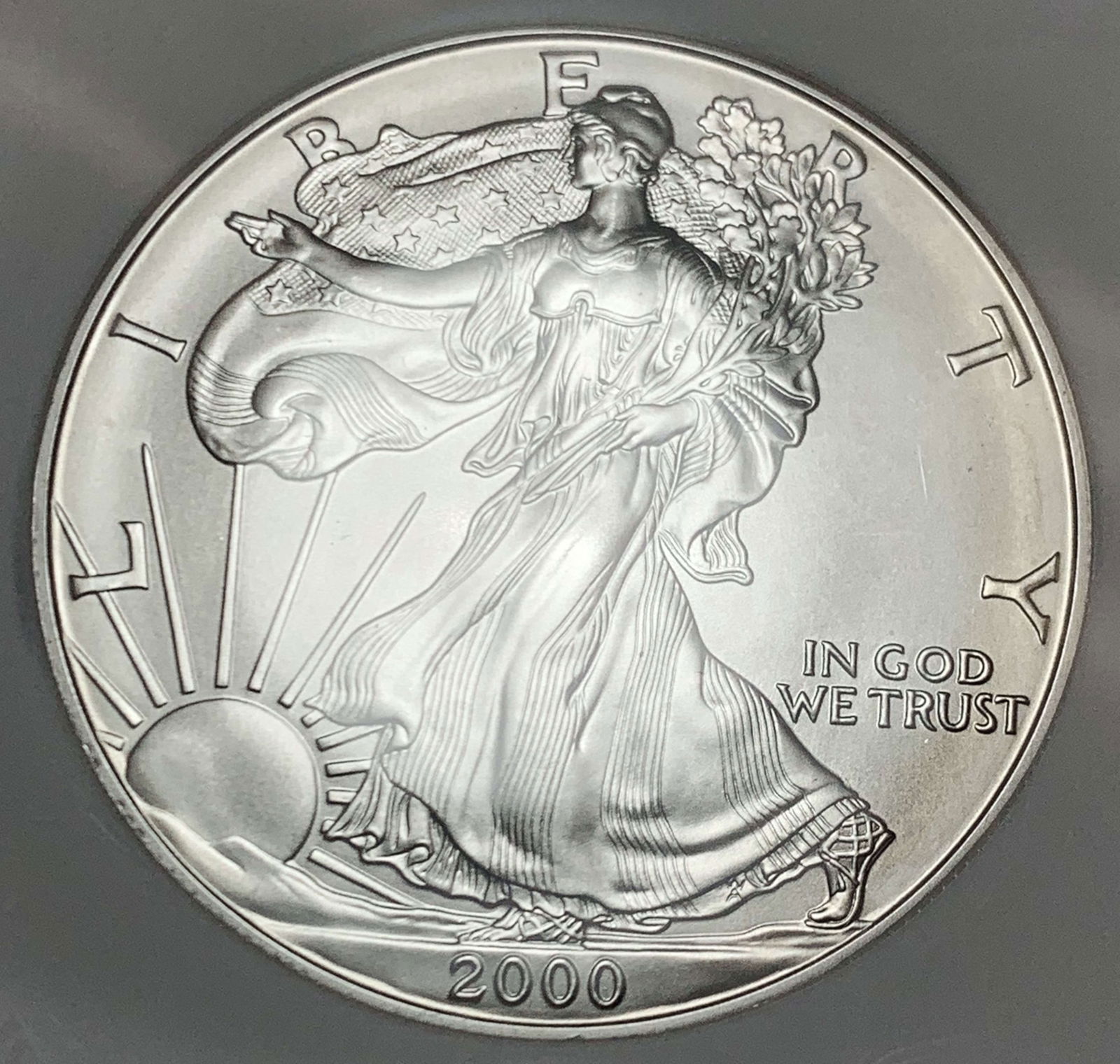 2000 American Silver Eagle NGC MS69 Millenium Set (1 of 4)