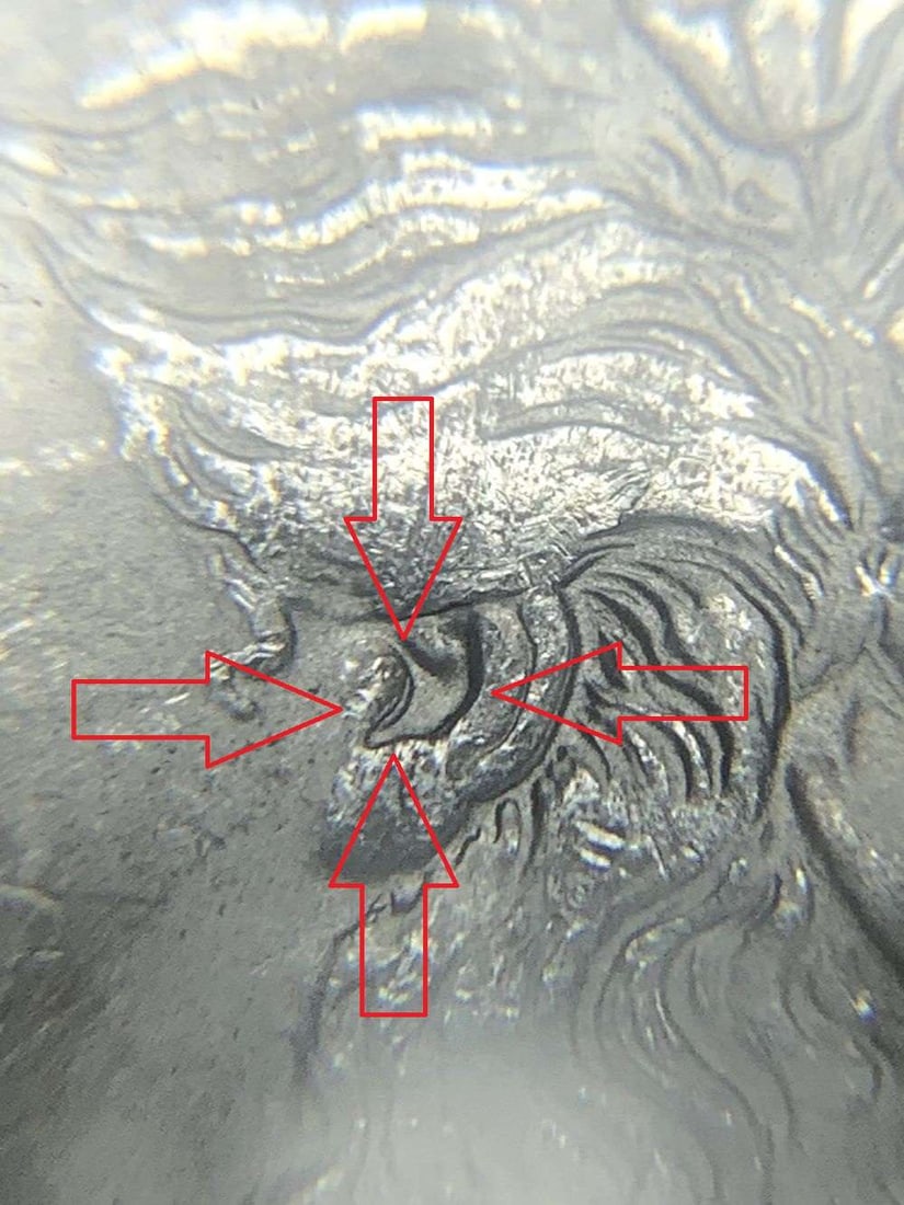 1888 Morgan Silver Dollar Top 100 NGC MS63 VAM-11A (1 of 5)