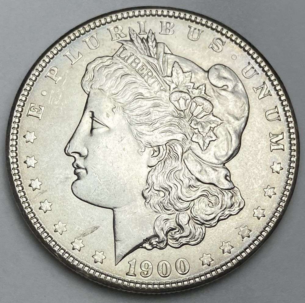 1900 Morgan Silver Dollar AU (1 of 2)