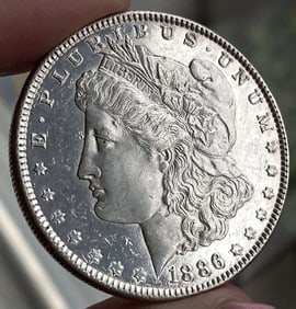 1886 Morgan Silver Dollar MS64 PL Details