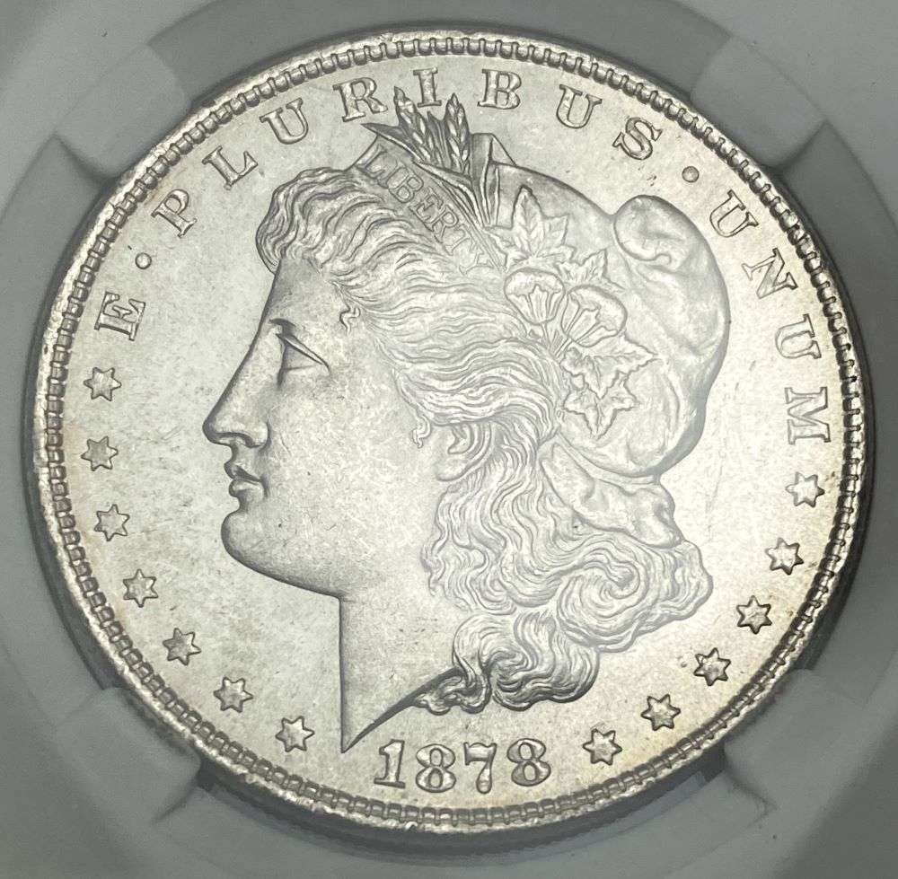 1878 8TF Morgan Silver Dollar MS65 (1 of 4)