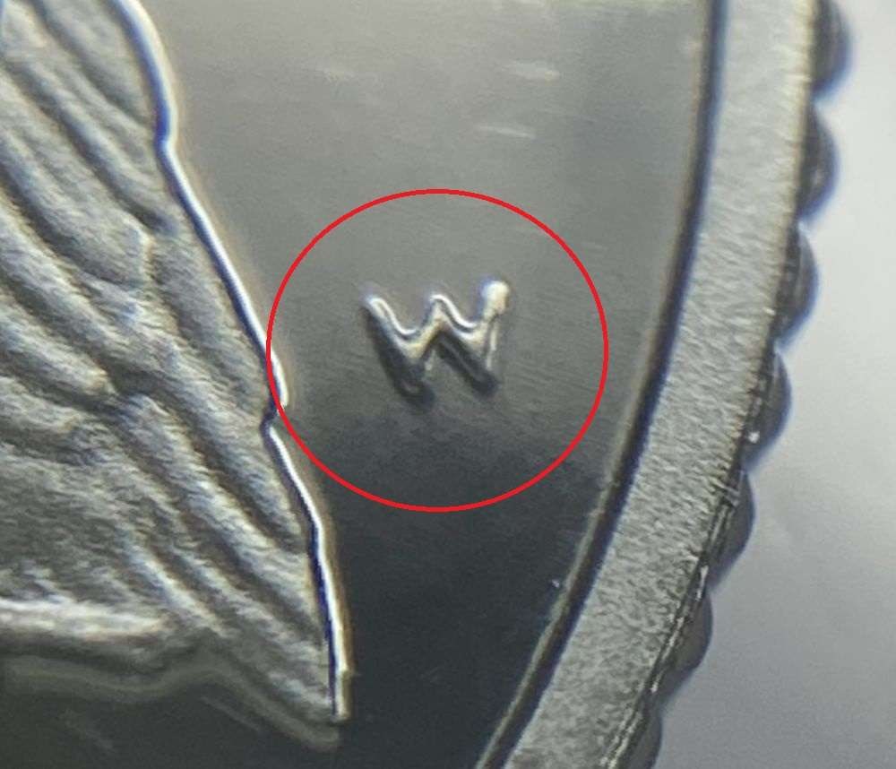 Rare 2004-W American Eagle .9995 Platinum 1/10th ozt $10 NGC PF70 Ultra Cameo (1 of 5)