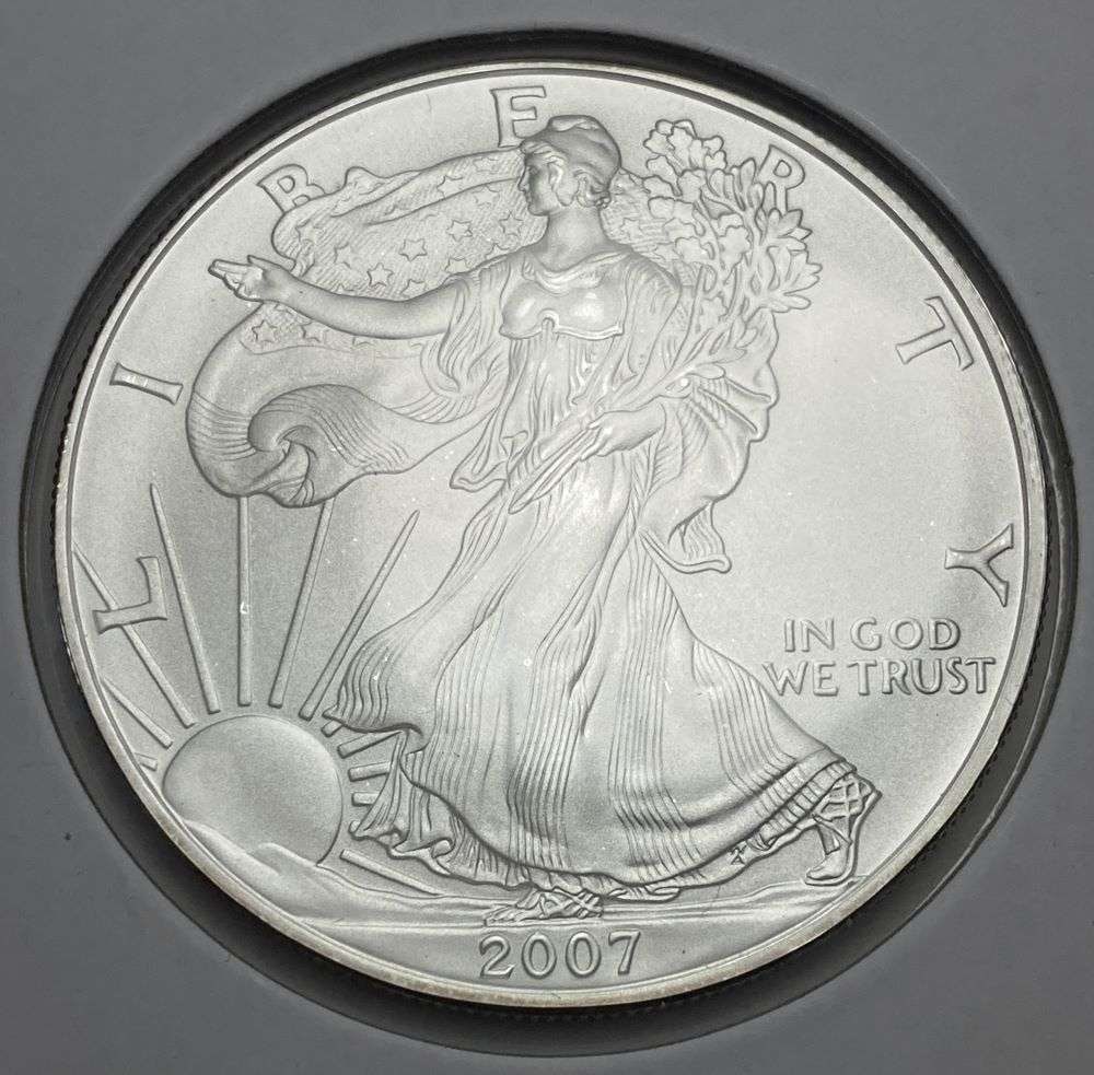 2007 American Silver Eagle (1 of 3)