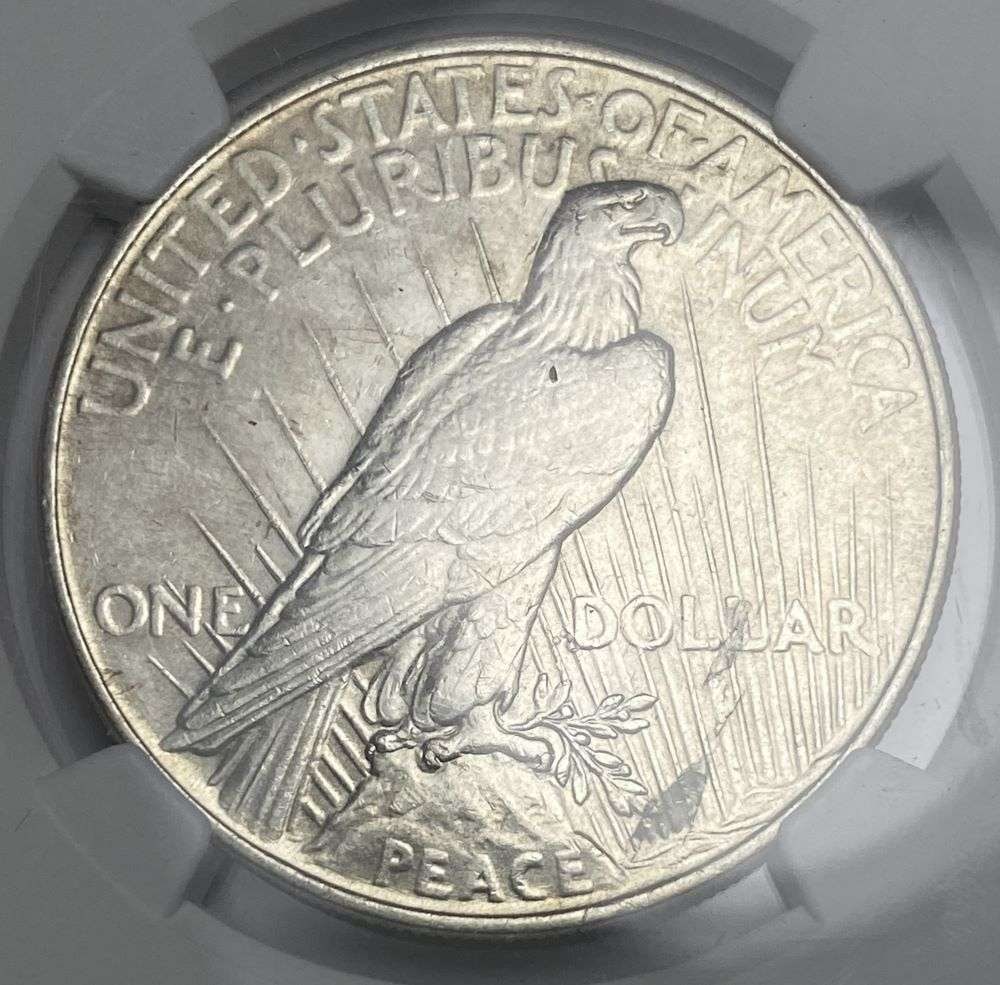 Mint Error 1924 Peace Silver Dollar NGC AU Details Reverse Lamination (1 of 4)
