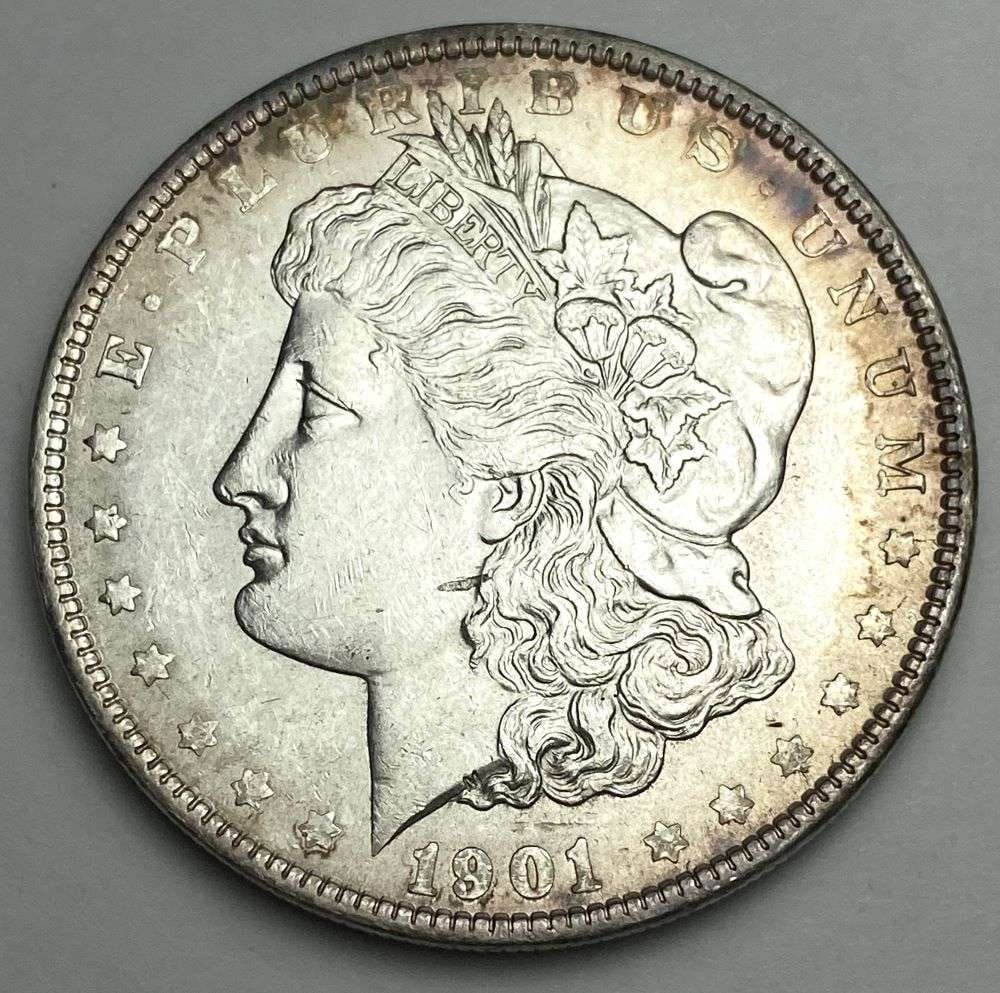 1901 Morgan Silver Dollar MS61 (1 of 2)