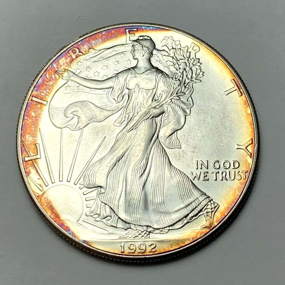Toned 1992 American Silver Eagle (1 of 2)