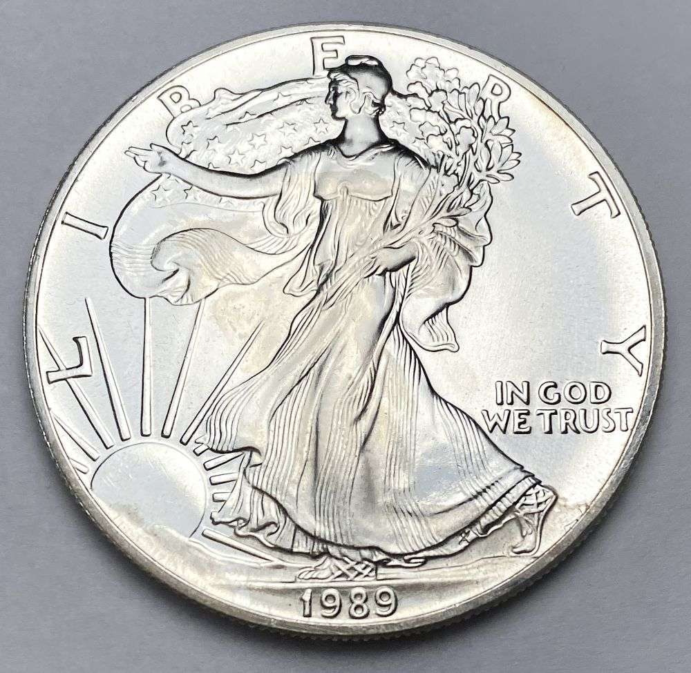 1989 American Silver Eagle MS69 (1 of 2)