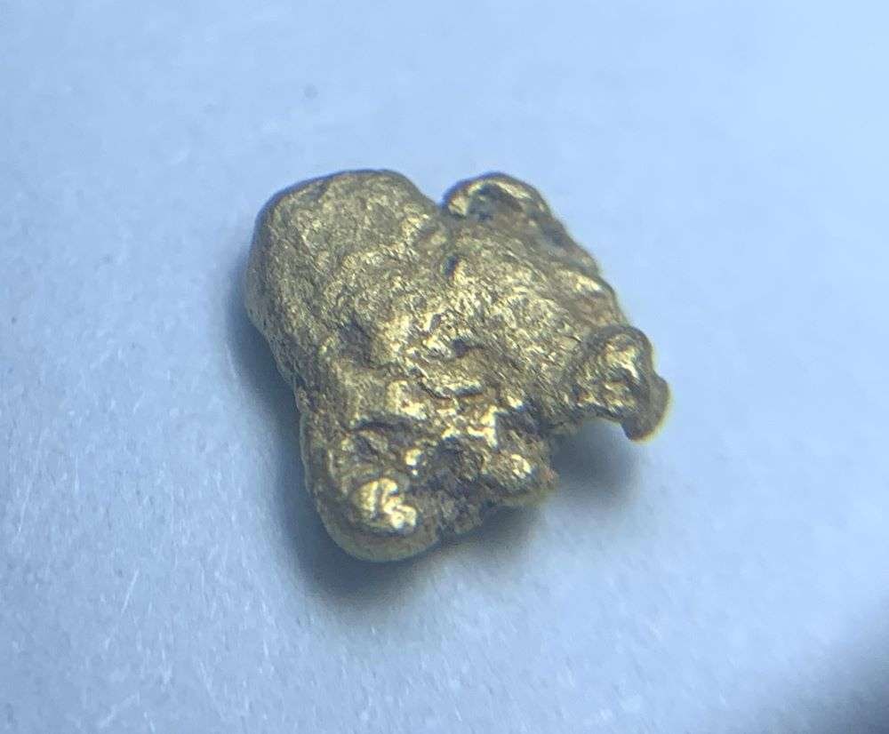 California Gold Rush Gold Nugget 8 Grains: These gold nuggets were panned a generation ago by a lonely miner in northern California. The claim is that these nuggets are almost 24 karat. Winner shall receive the exact item shown here. (BD/B)