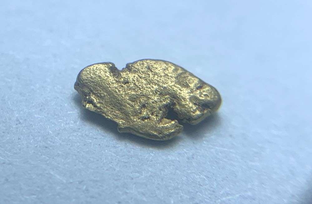 California Gold Rush Gold Nugget 6 Grains: These gold nuggets were panned a generation ago by a lonely miner in northern California. The claim is that these nuggets are almost 24 karat. Winner shall receive the exact item shown here. (BD/B)