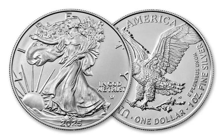 Mint Condition 2025 American Silver Eagle (100-coins)