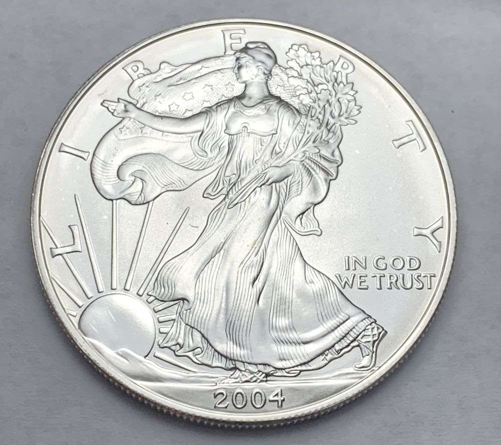 2004 American Silver Eagle: Winner shall receive the exact coin shown here. (BD/B)