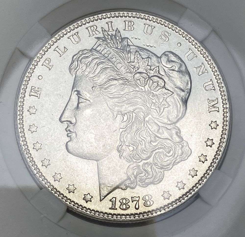 1878 7/8TF Morgan Silver Dollar MS64 VAM-33 (1 of 6)