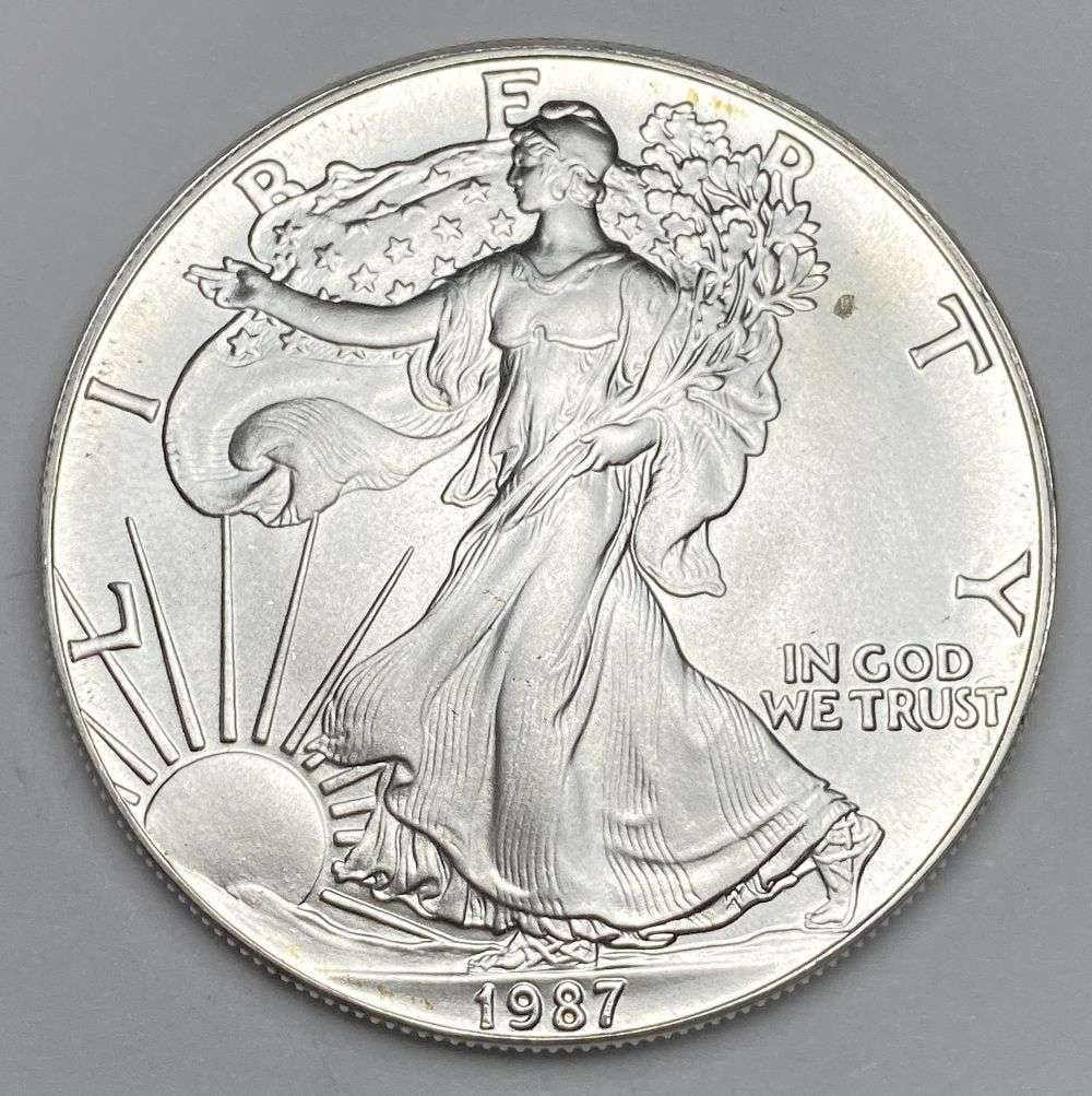 1987 American Silver Eagle: Winner shall receive the exact coin shown here. (RR/B)