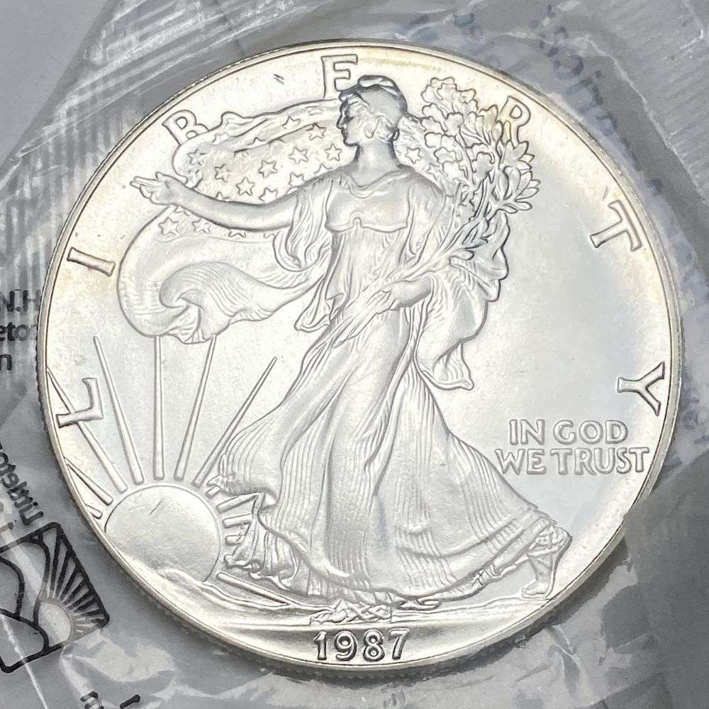 1987 American Silver Eagle Littleton Coin Company (1 of 2)