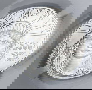Last Min! Rare First Year 2006-W Burnished American $100 Eagle .9995 Platinum 1 ozt NGC MS70