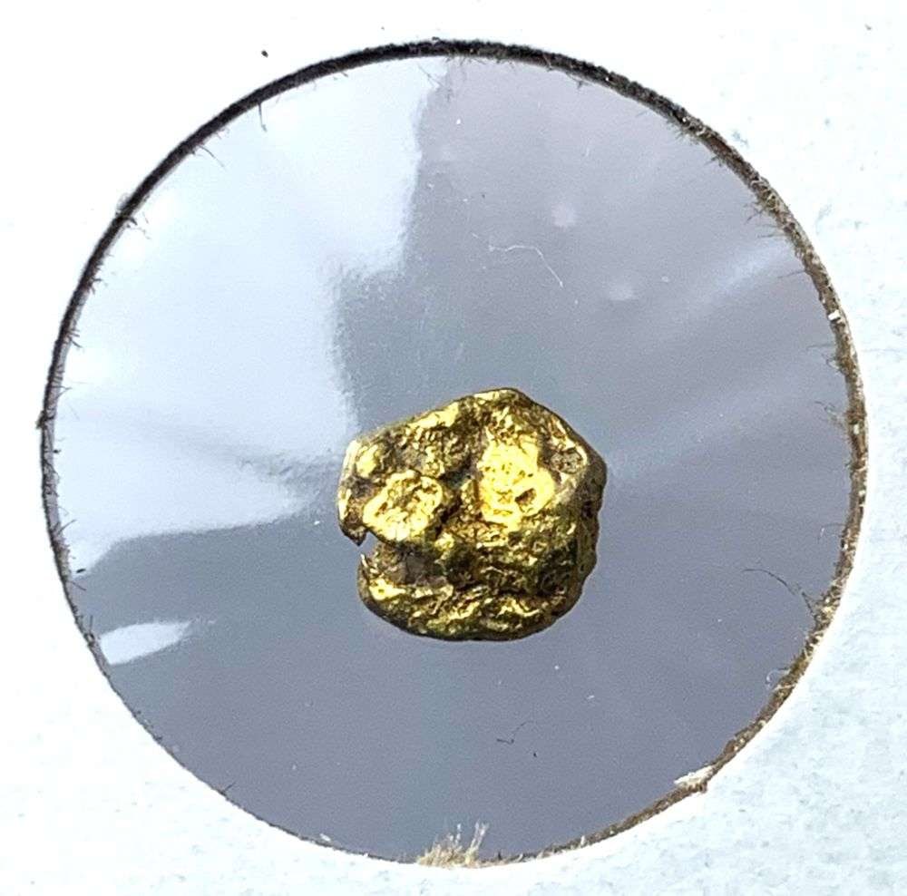 .549g Genuine Alaskan Gold: Winner shall receive the exact nugget shown here. (MK/B)