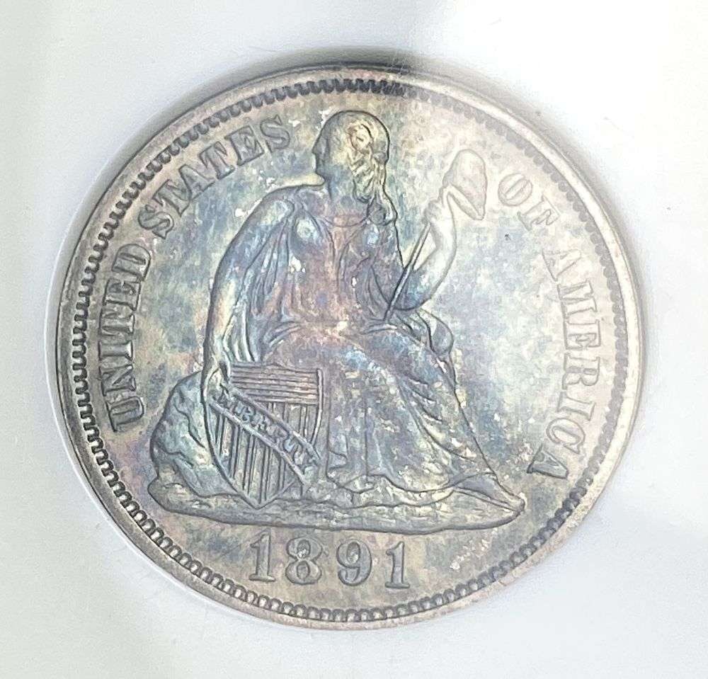 Toned 1891 Seated Liberty Silver Dime NGC MS64 (1 of 4)