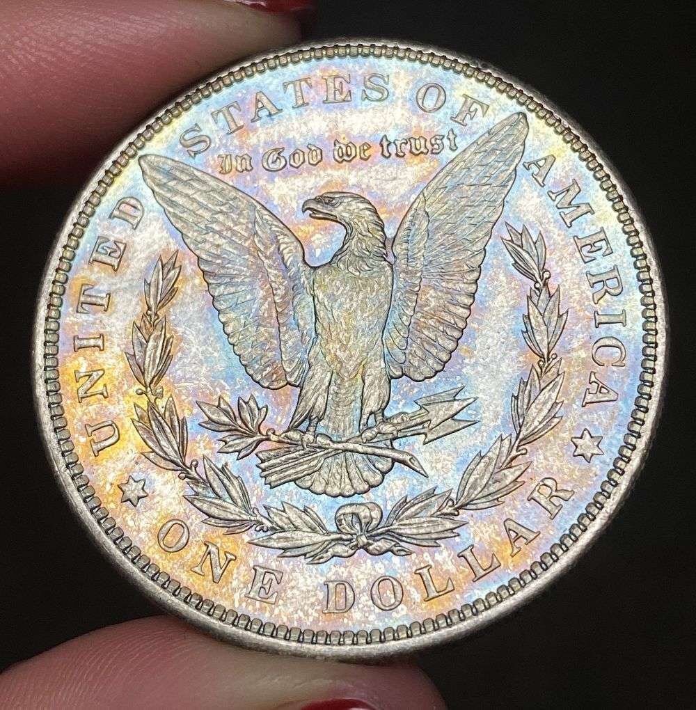 Toned 1900 Morgan Silver Dollar MS65 (1 of 3)