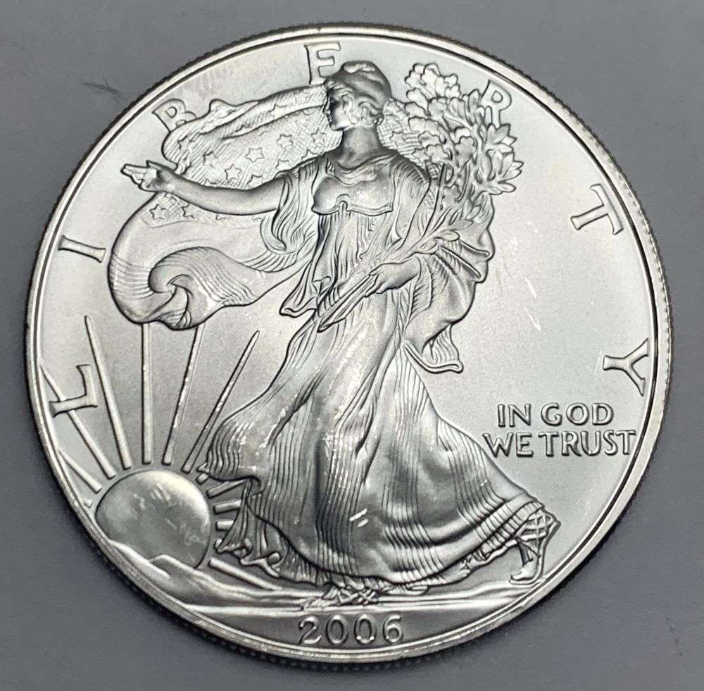 2008 American Silver Eagle (1 of 2)