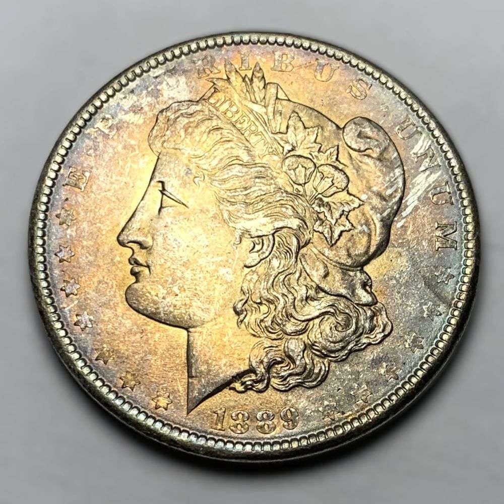 Toned 1889 Morgan Silver Dollar MS63 (1 of 2)