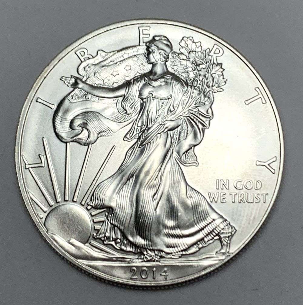 2014 American Silver Eagle (1 of 2)