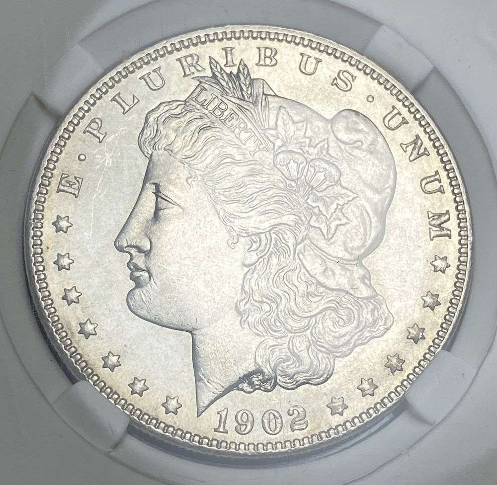 1902 Morgan Silver Dollar MS66 (1 of 4)