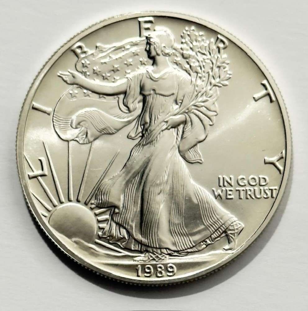 1989 American Silver Eagle (1 of 2)
