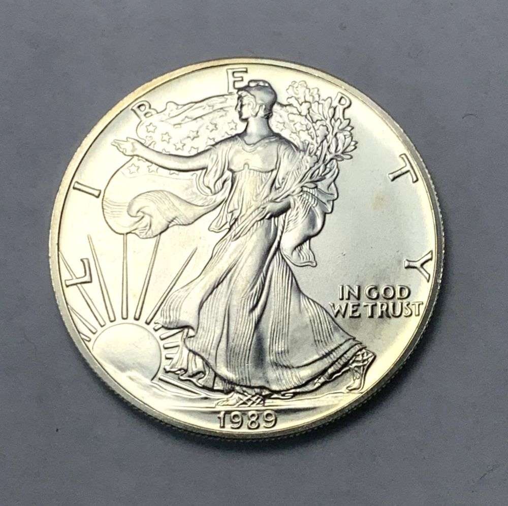1989 American Silver Eagle (1 of 2)